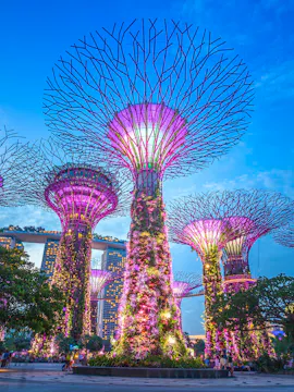Ofertas e promoções em Singapura