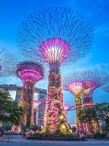 Offres à Singapour