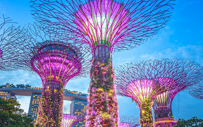 Supertree Grove at Gardens by the Bay, Singapore, illuminated at dusk.