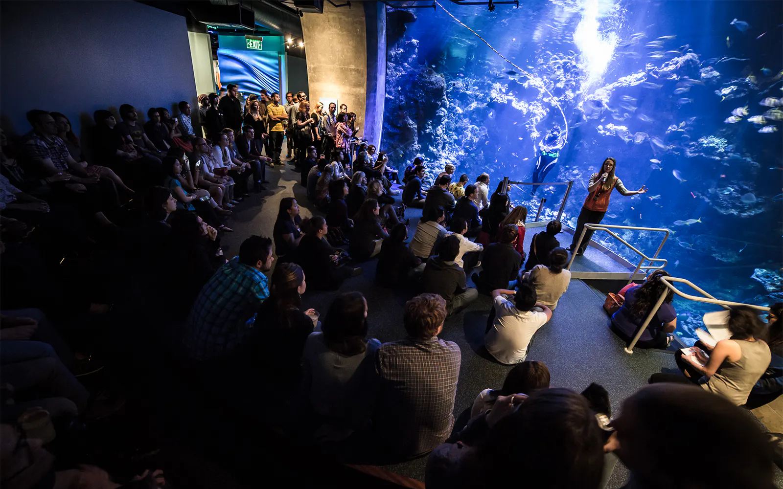 Guests listening to a talk in front of an aquarium at the California Academy of Sciences NightLife event.