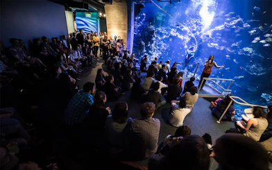 Guests listening to a talk in front of an aquarium at the California Academy of Sciences NightLife event.
