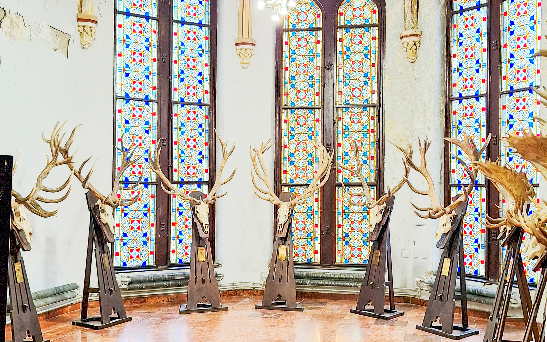 Deer antler displays inside Vajdahunyad Castle museum, Budapest, Hungary.