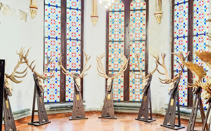 Deer antler displays inside Vajdahunyad Castle museum, Budapest, Hungary.