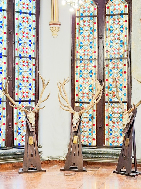 Deer antler displays inside Vajdahunyad Castle museum, Budapest, Hungary.