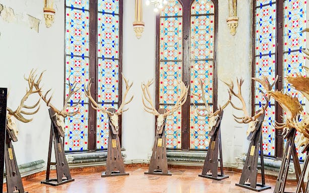 Deer antler displays inside Vajdahunyad Castle museum, Budapest, Hungary.