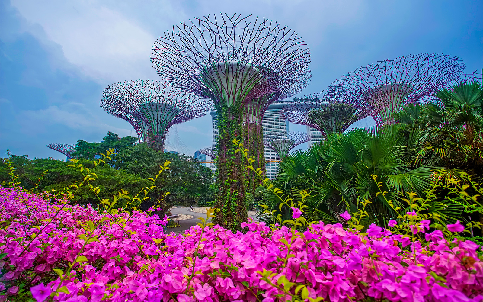 Gardens by the Bay Events - Get Crafty! – Tulip Earrings