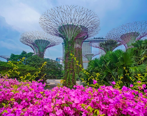 Gardens by the Bay Events - Get Crafty! – Tulip Earrings