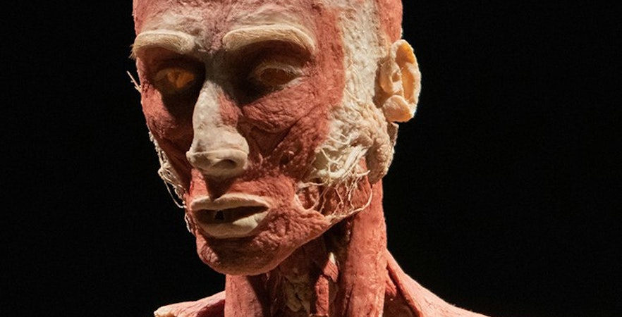 Biglietti Body Worlds Amsterdam