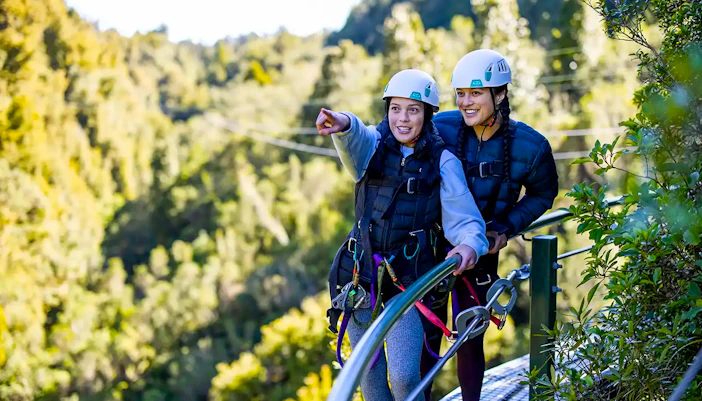 Participants on a Rotorua Forest zipline tour wearing helmets and harnesses.