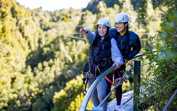 Participants on a Rotorua Forest zipline tour wearing helmets and harnesses.