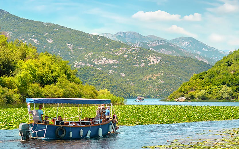 Boat navigating through lilies on Lake Skadar, Montenegro.