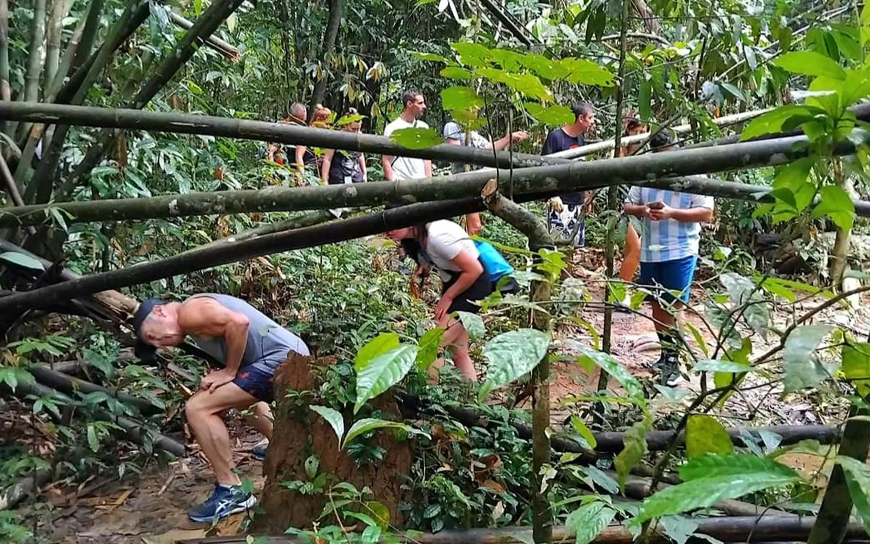 Tourists hiking through dense jungle on Cheow Lan Lake tour in Krabi, Thailand.