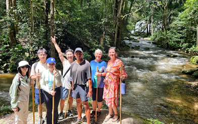 Group trekking along a forest stream on the Pha Dok Siew Trail, Doi Inthanon, Chiang Mai.