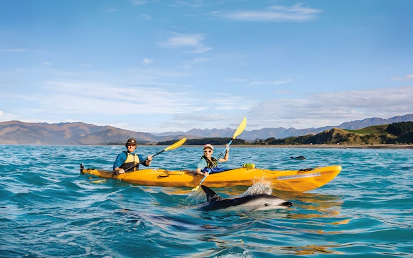 Kaikoura Guided Wildlife Kayaking Experience