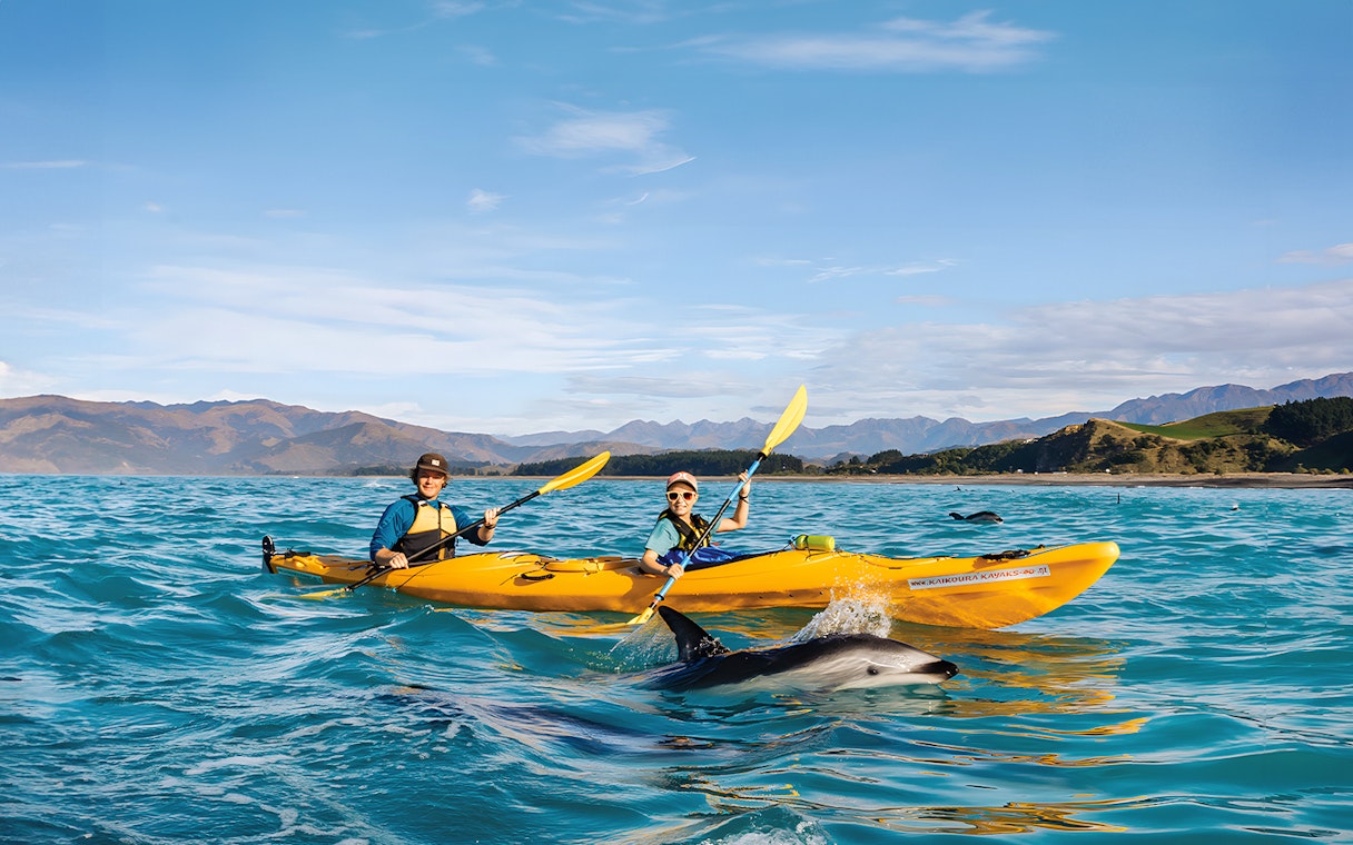 Two people kayaking with dolphins in Kaikoura, New Zealand.
