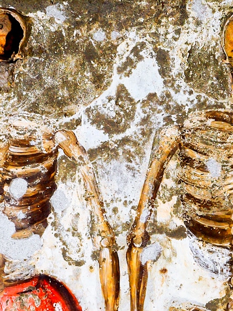 Skeletons embedded in the wall at Catacombs of San Gaudioso, Naples.