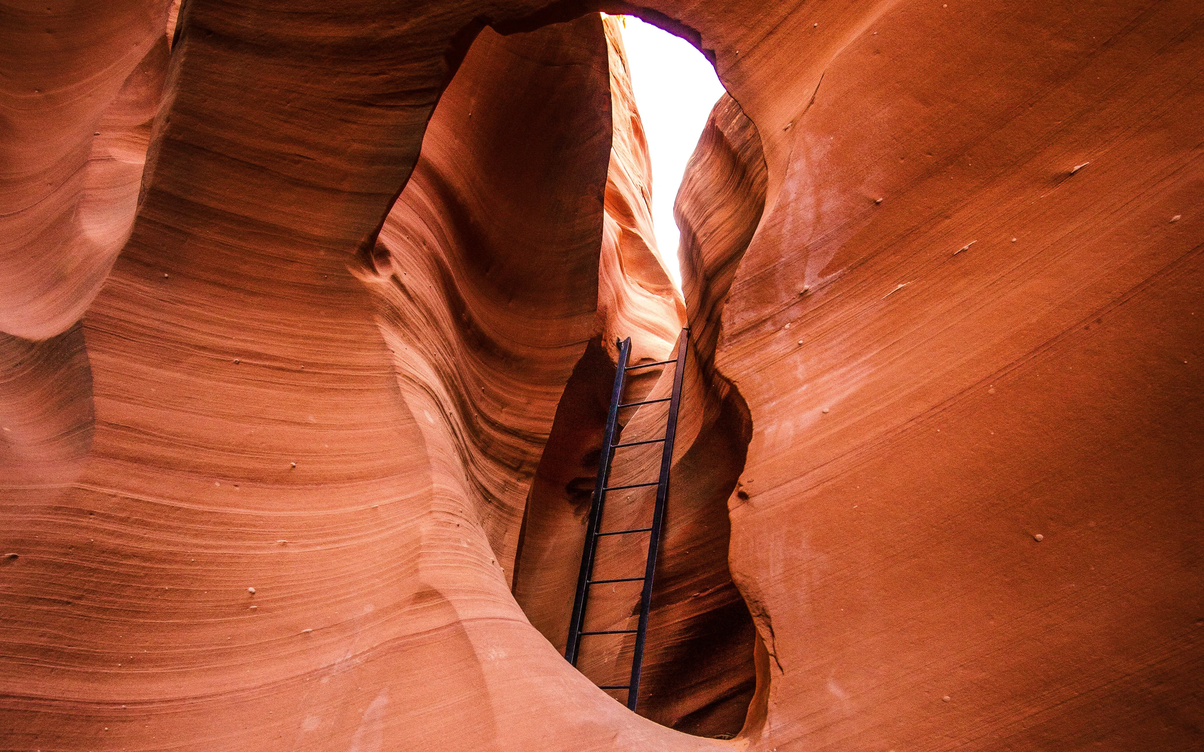 Ladder leading through narrow sandstone walls in Rattlesnake Canyon.