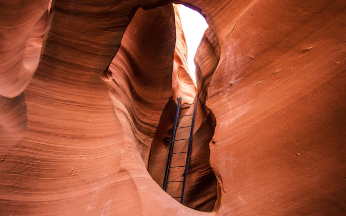 Ladder leading through narrow sandstone walls in Rattlesnake Canyon.