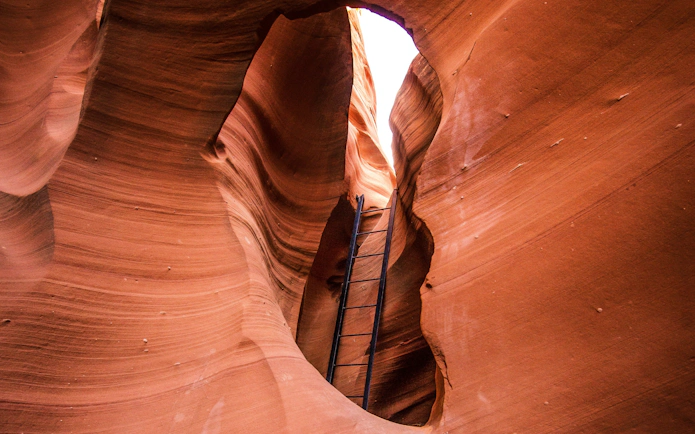 Ladder leading through narrow sandstone walls in Rattlesnake Canyon.