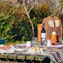 Picnic Lunch