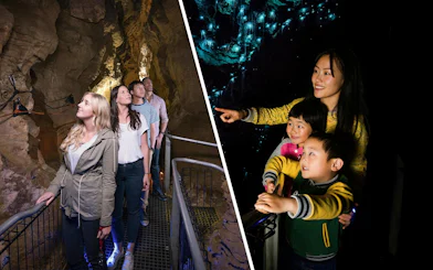 Visitors exploring Waitomo Glowworm Caves, observing glowworms illuminating the cave walls.