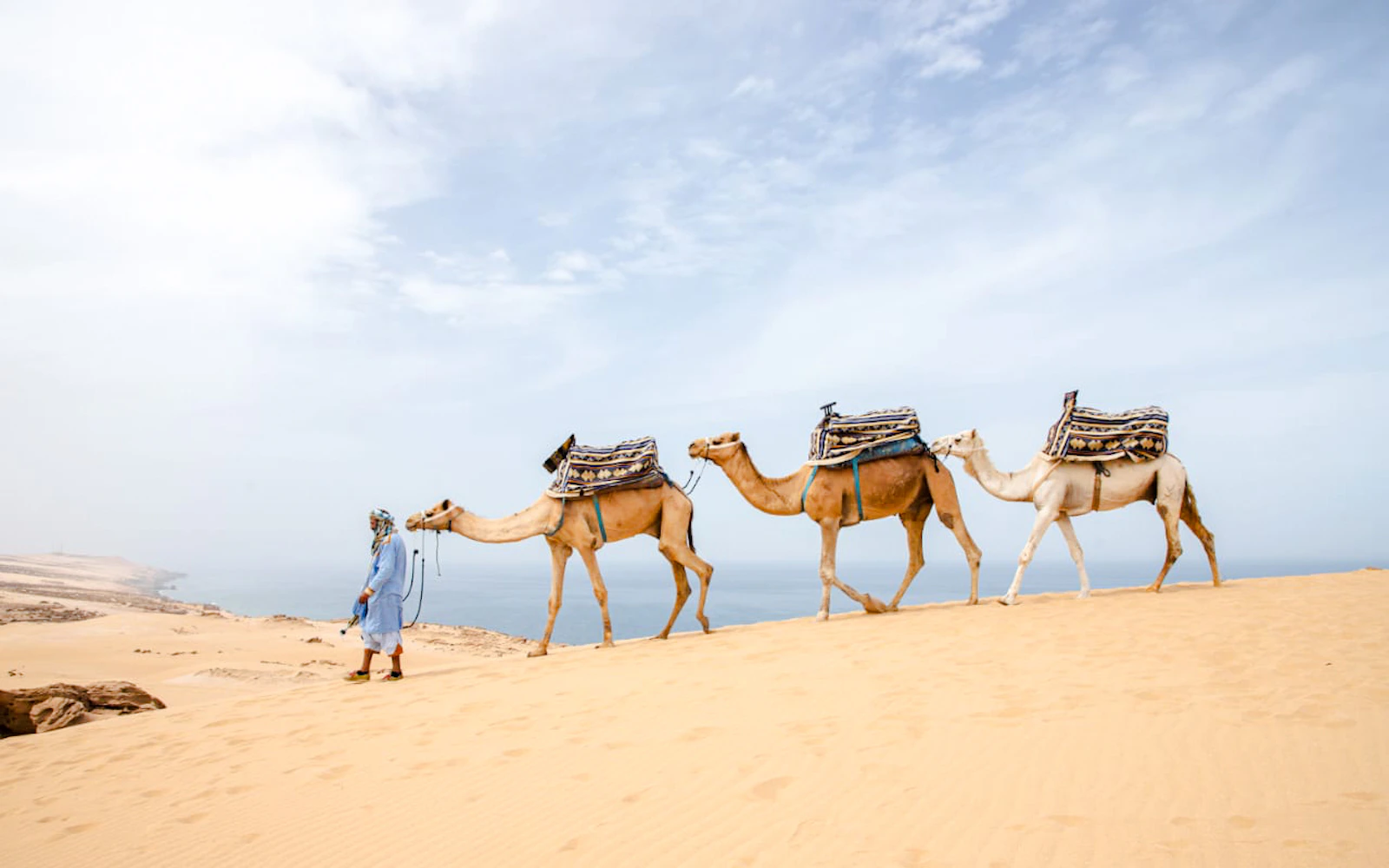 From Taghazout: 4x4 Mini-Sahara Dunes and Souss-Massa National Park Tour with Lunch
