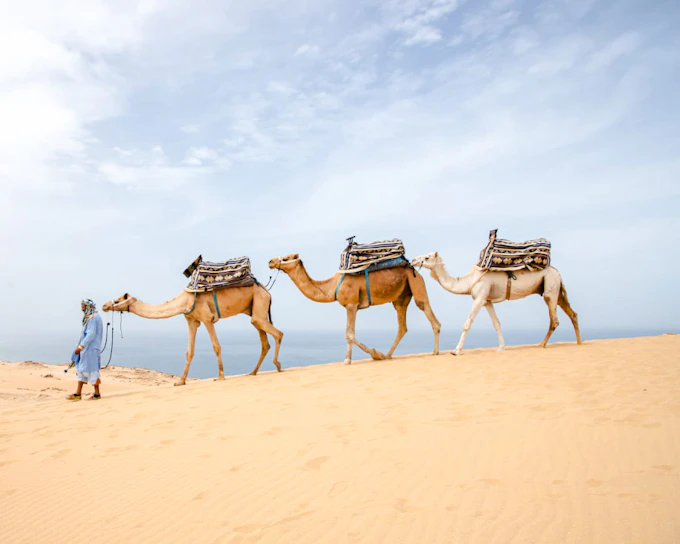 From Taghazout: 4x4 Mini-Sahara Dunes and Souss-Massa National Park Tour with Lunch