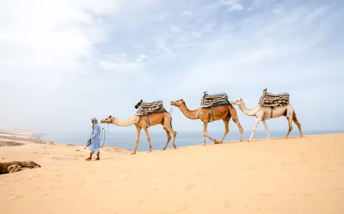 from taghazout: 4x4 mini-sahara dunes and souss-massa national park tour with lunch-1