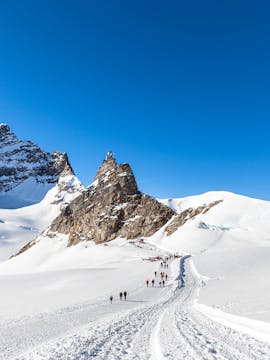 Jungfraujoch Tickets & Tours