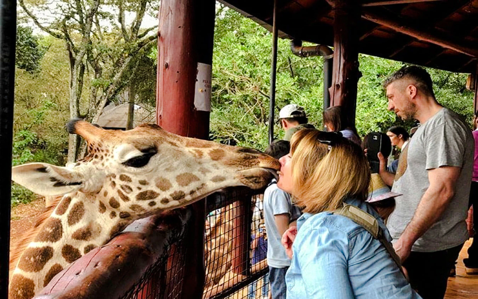 Nairobi National Park, David Sheldrick Elephant Orphanage, Giraffe Centre and Karen Blixen Museum Tour (Product 56426)