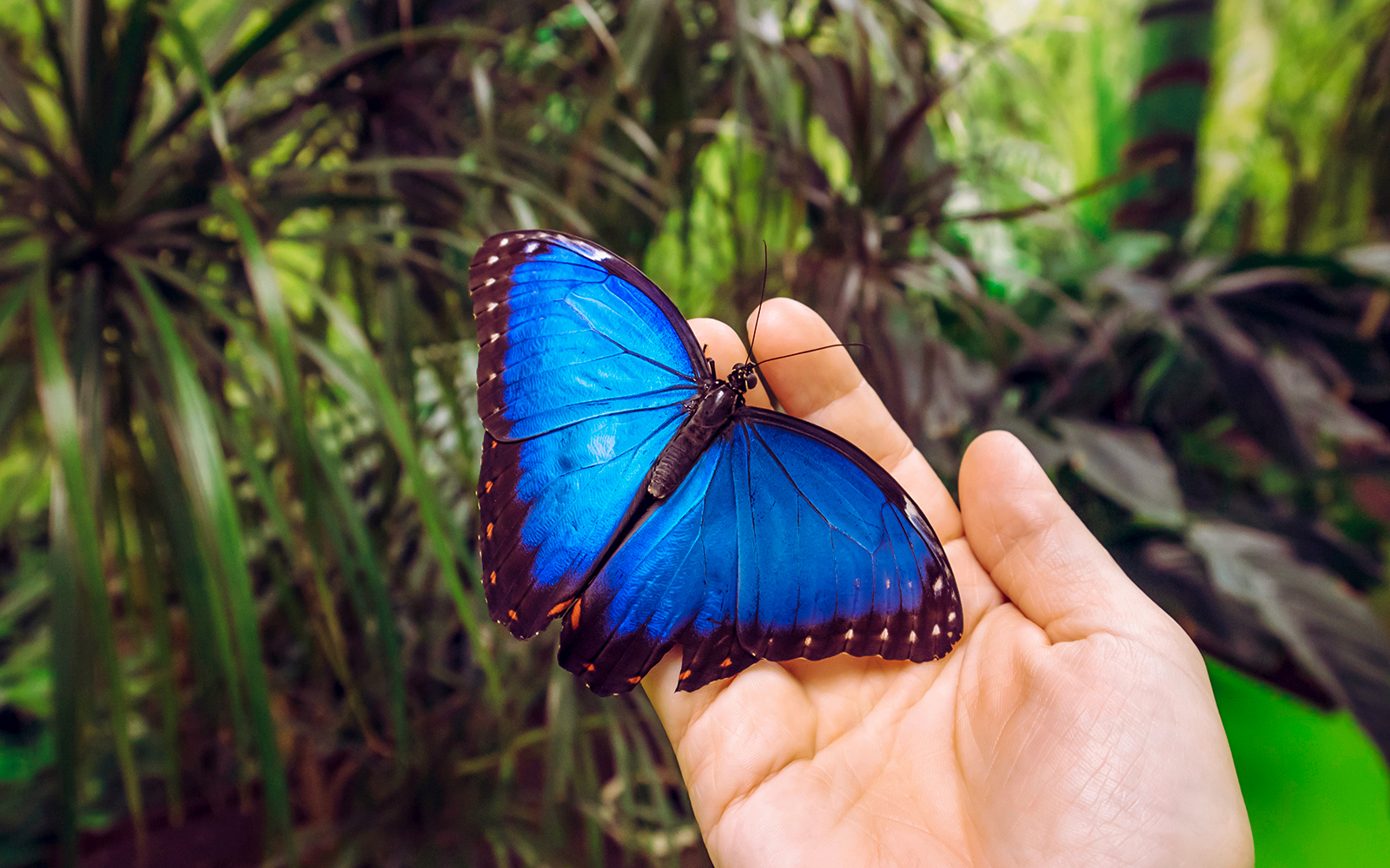 Niagara Falls Family Travel