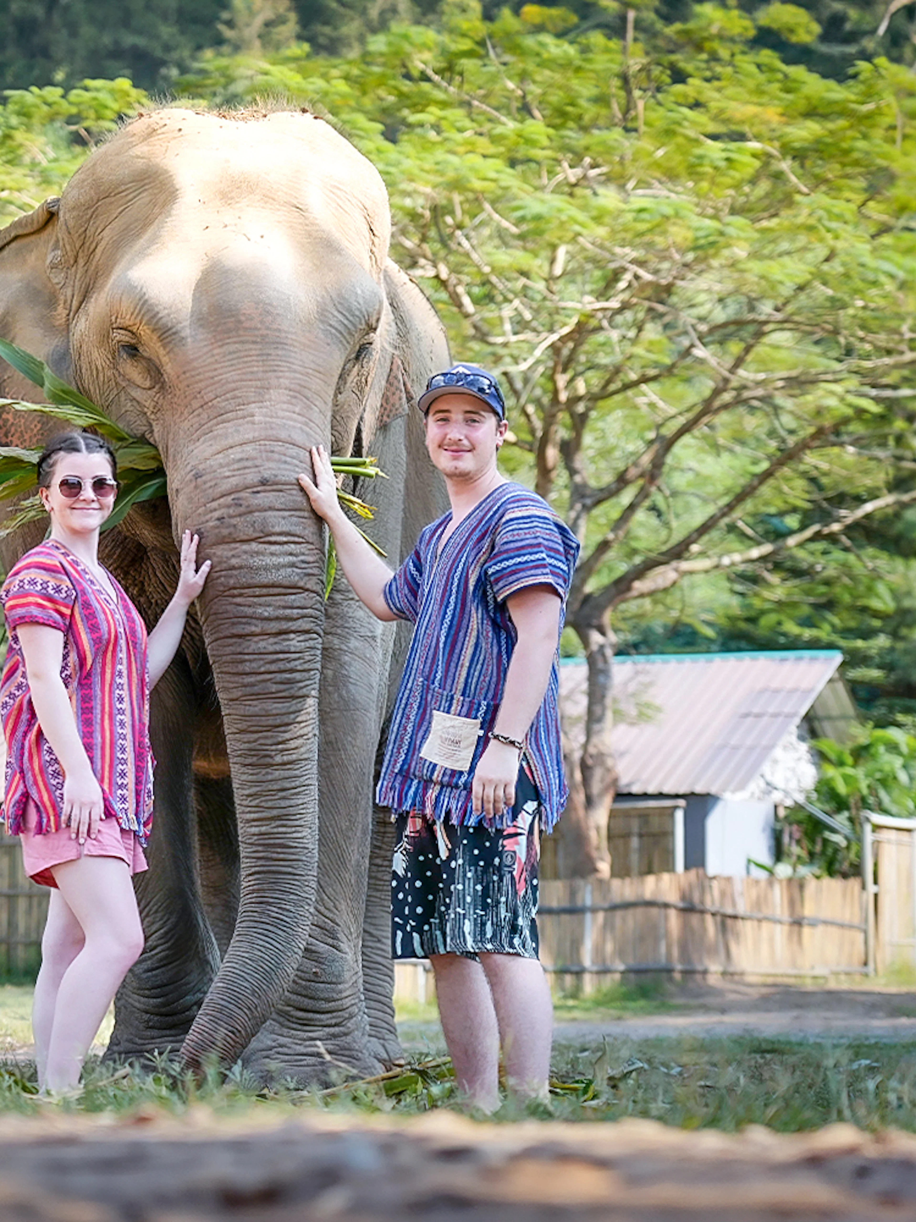 Couple posing with an elephant at a sanctuary in a lush, green setting.