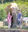 Elephant Jungle Sanctuary