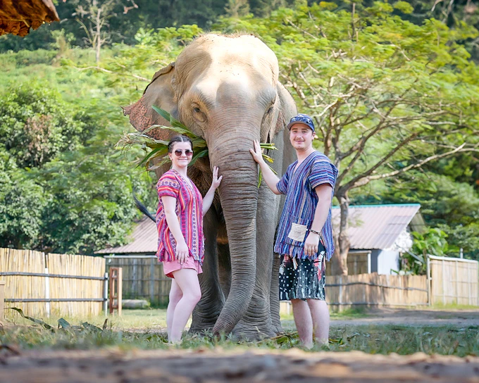 Chiang Mai: Elephant Jungle Sanctuary Tours