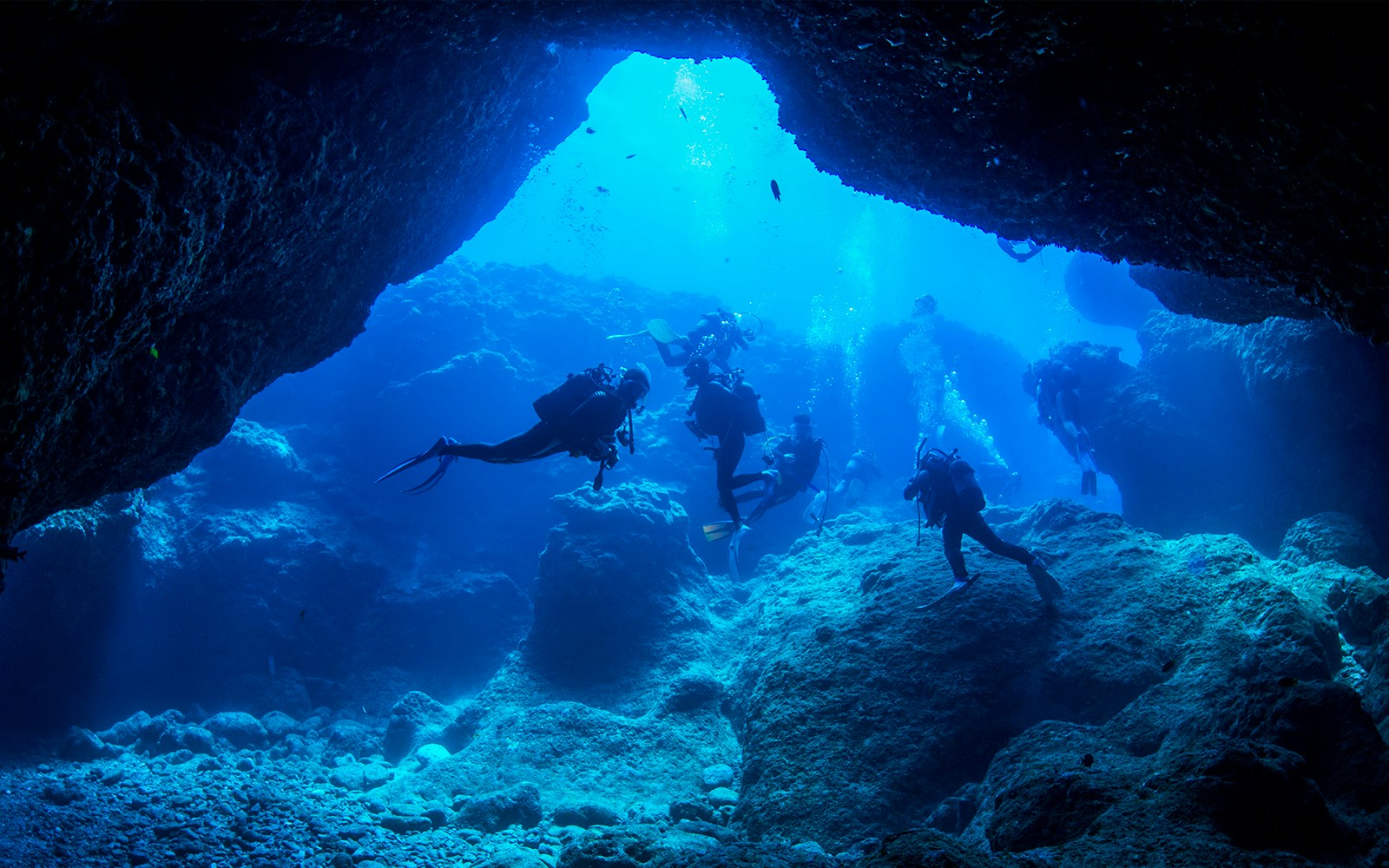 Malta Aquarium Tickets