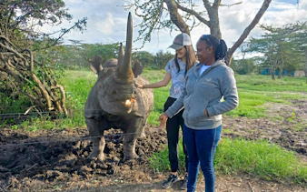 Woman interacting with a rhino at Ol Pejeta Conservancy, Kenya.