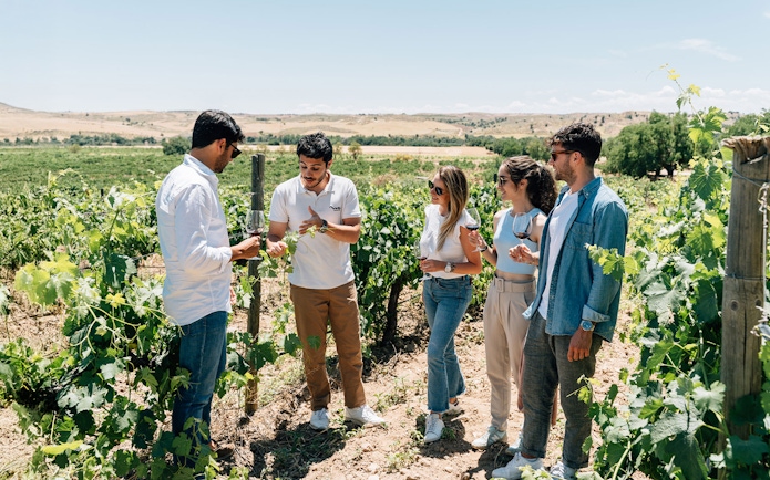 Tourists with guide in vineyard during winery experience in Toledo.