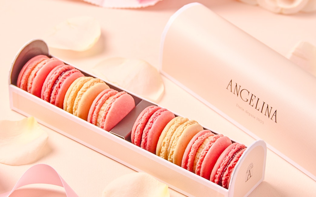 Box of assorted macarons at Angelina Rivoli, Paris, France.