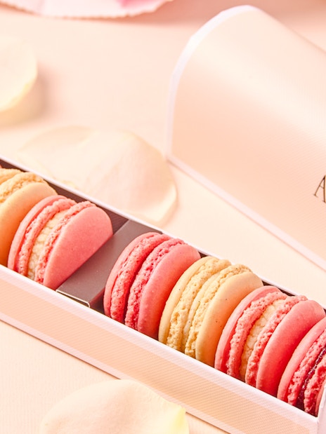 Box of assorted macarons at Angelina Rivoli, Paris, France.