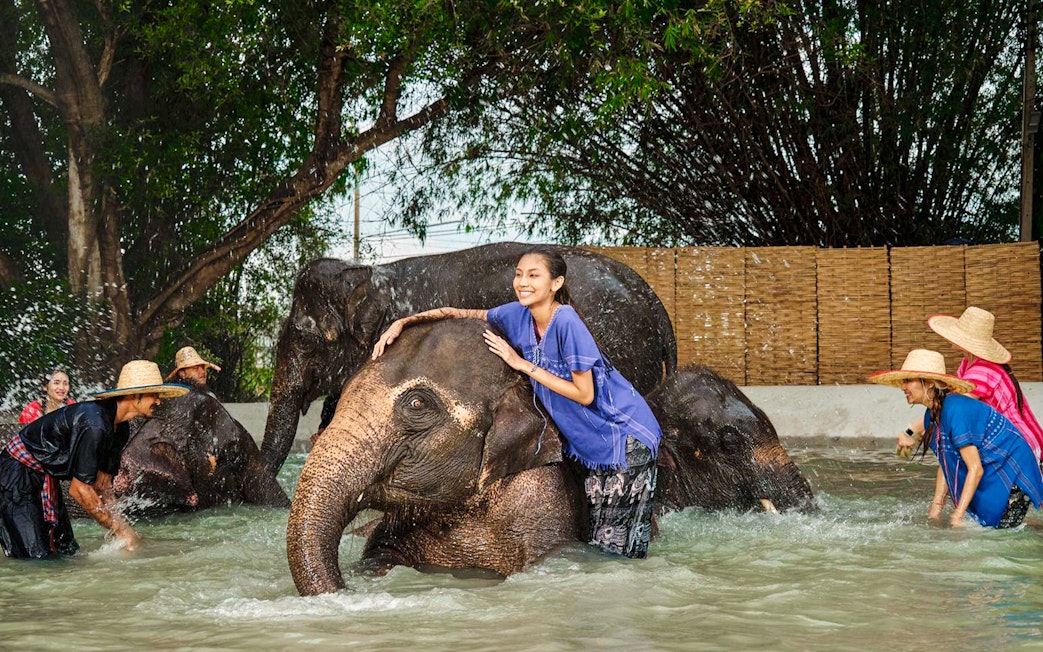 Visitors interacting with elephants in a water pool at Bangkok Elephant Park.