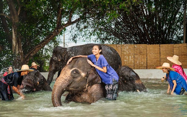 Visitors interacting with elephants in a water pool at Bangkok Elephant Park.