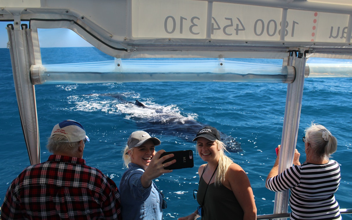Two women take a selfie on a boat as a humpback whale swims by in Hervey Bay.