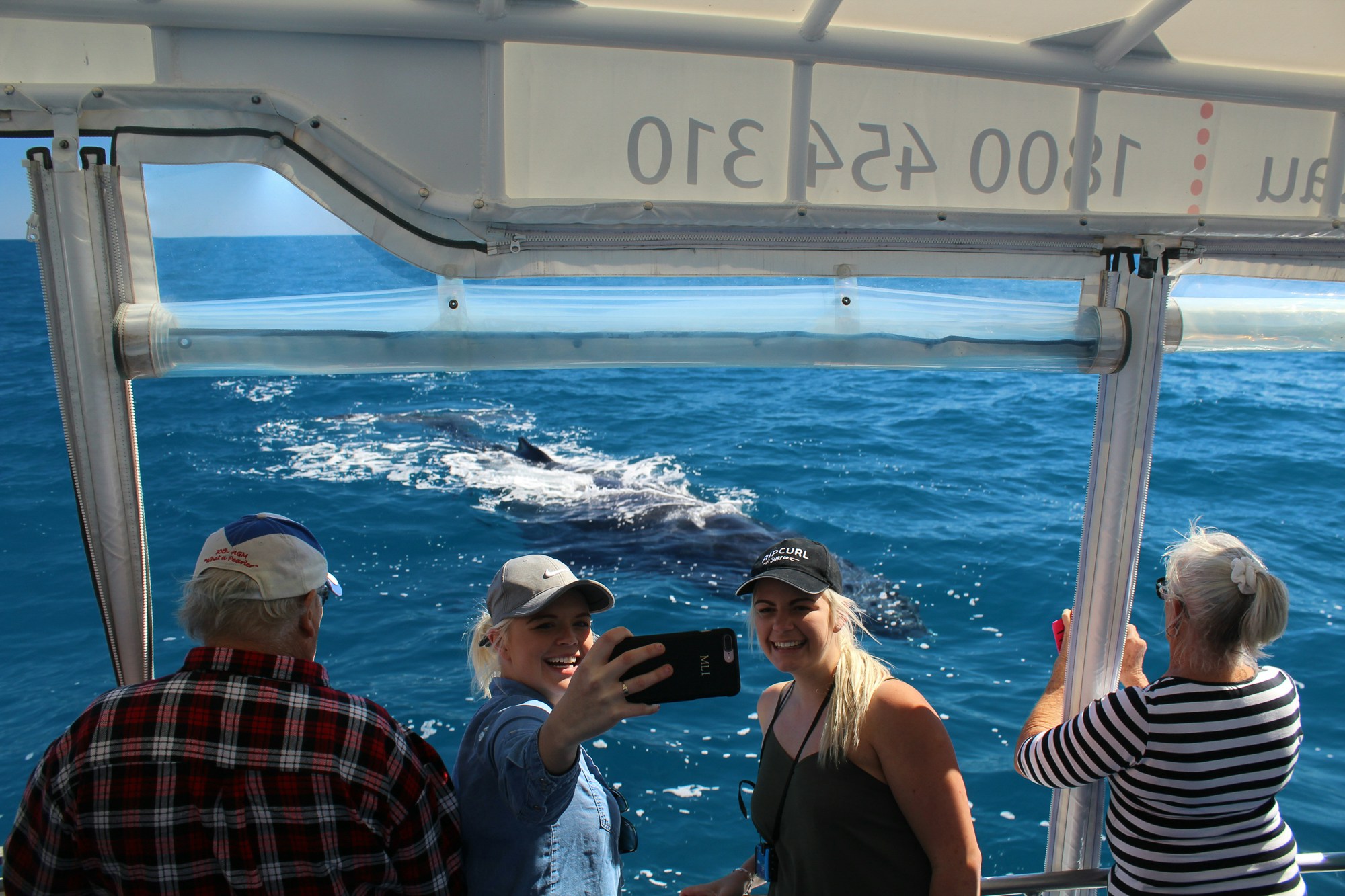 Two women take a selfie on a boat as a humpback whale swims by in Hervey Bay.