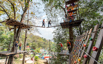 People crossing hanging bridges in a forest adventure park.