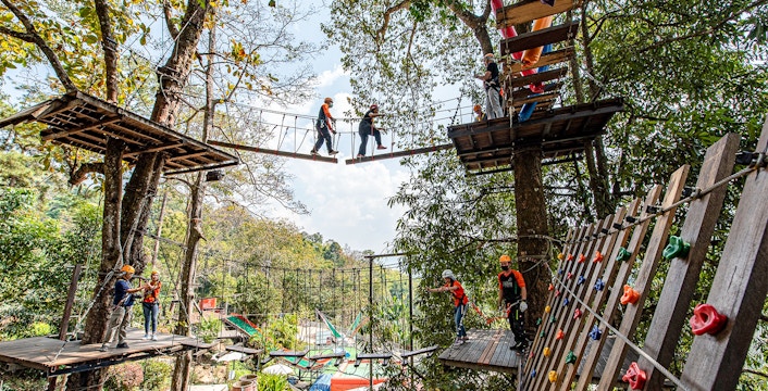 People crossing hanging bridges in a forest adventure park.