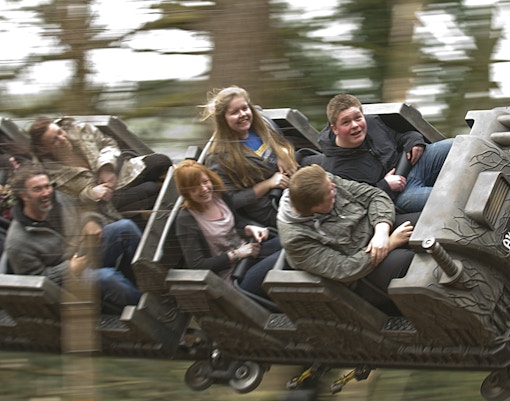 The Dark Forest at Alton Towers