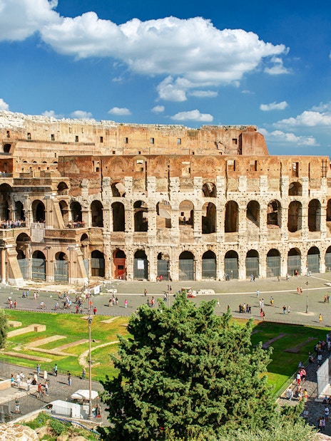 Aerial view of the Colosseum in Rome during a VIP private tour.