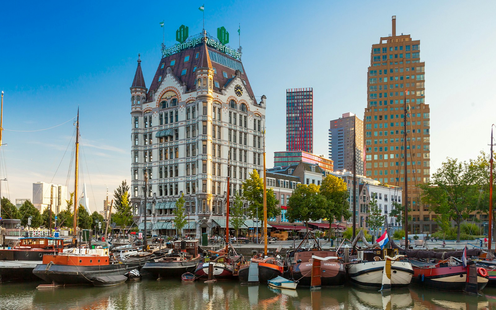 rotterdam cruises