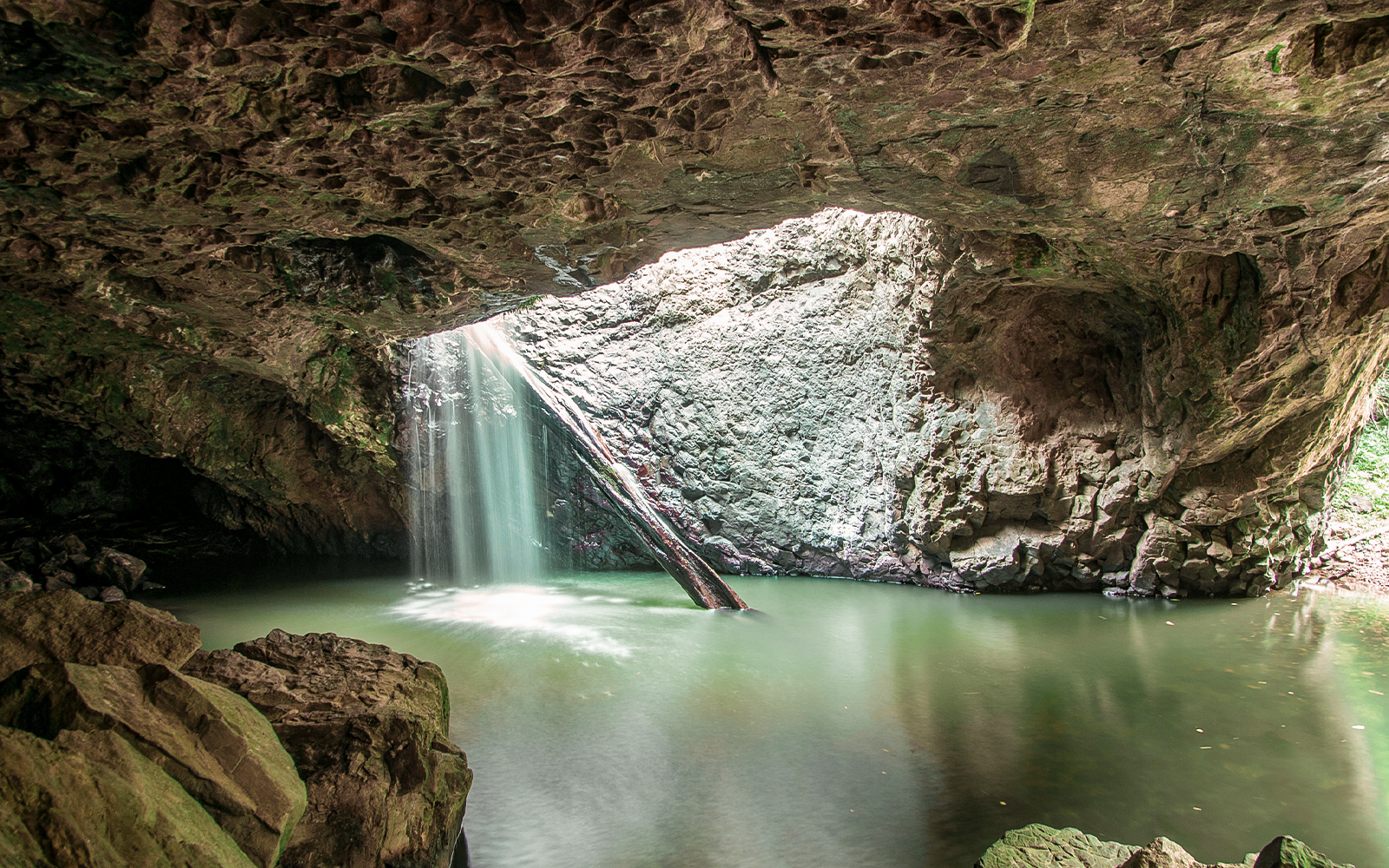 Springbrook National Park