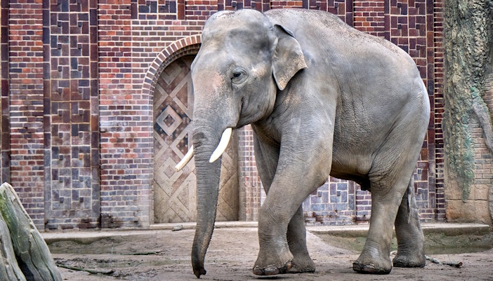 zoo leipzig